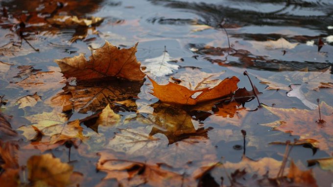 Pronóstico del 13 de abril Pronóstico del 13 de abril