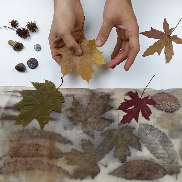 Taller de Estampa Botánica en el Centro Cultural Casa de las Bombas Taller de Estampa Botánica en el Centro Cultural Casa de las Bombas