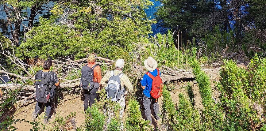Grupo de profesionales realizará estudio por senderismo en la Región Sur Grupo de profesionales realizará estudio por senderismo en la Región Sur