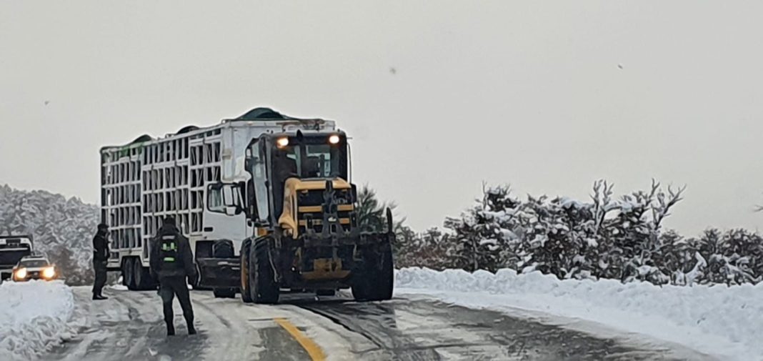 Vialidad Nacional abrió la licitación para el mantenimiento invernal de la Ruta Nacional N° 40 Vialidad Nacional abrió la licitación para el mantenimiento invernal de la Ruta Nacional N° 40