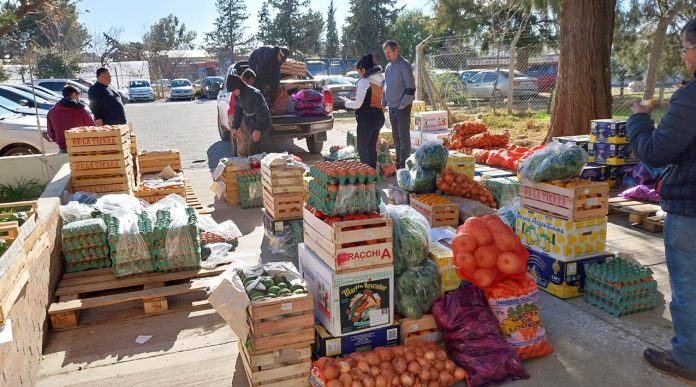 Continúa la entrega de frutas y verduras de la zona Continúa la entrega de frutas y verduras de la zona