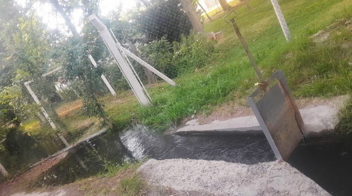 Hoy se pone en marcha el sistema de riego Limay inferior ejido Neuquén Hoy se pone en marcha el sistema de riego Limay inferior ejido Neuquén