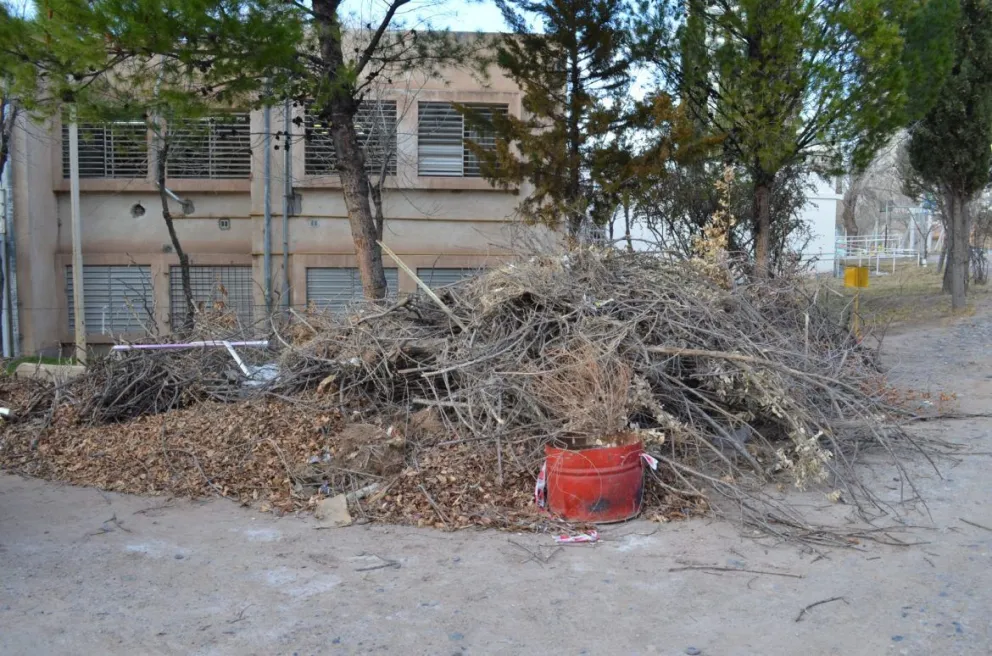 UNCo: Habrá restricción en el estacionamiento por trabajos de limpieza UNCo: Habrá restricción en el estacionamiento por trabajos de limpieza