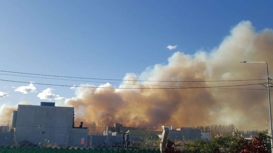 Incendio de pastizales en zona chacras Incendio de pastizales en zona chacras