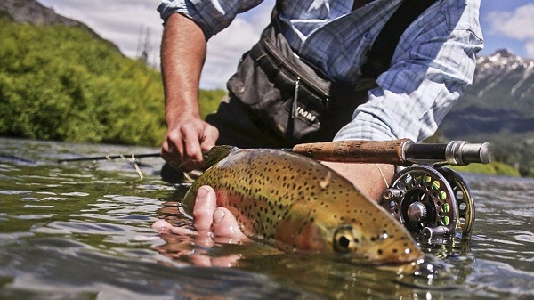 Novedades e innovación en los nuevos permisos de pesca Novedades e innovación en los nuevos permisos de pesca