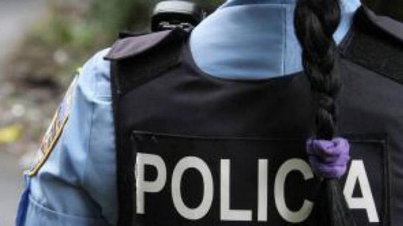 Proponen que la policía neuquina incorpore personal capacitado en otras fuerzas Proponen que la policía neuquina incorpore personal capacitado en otras fuerzas