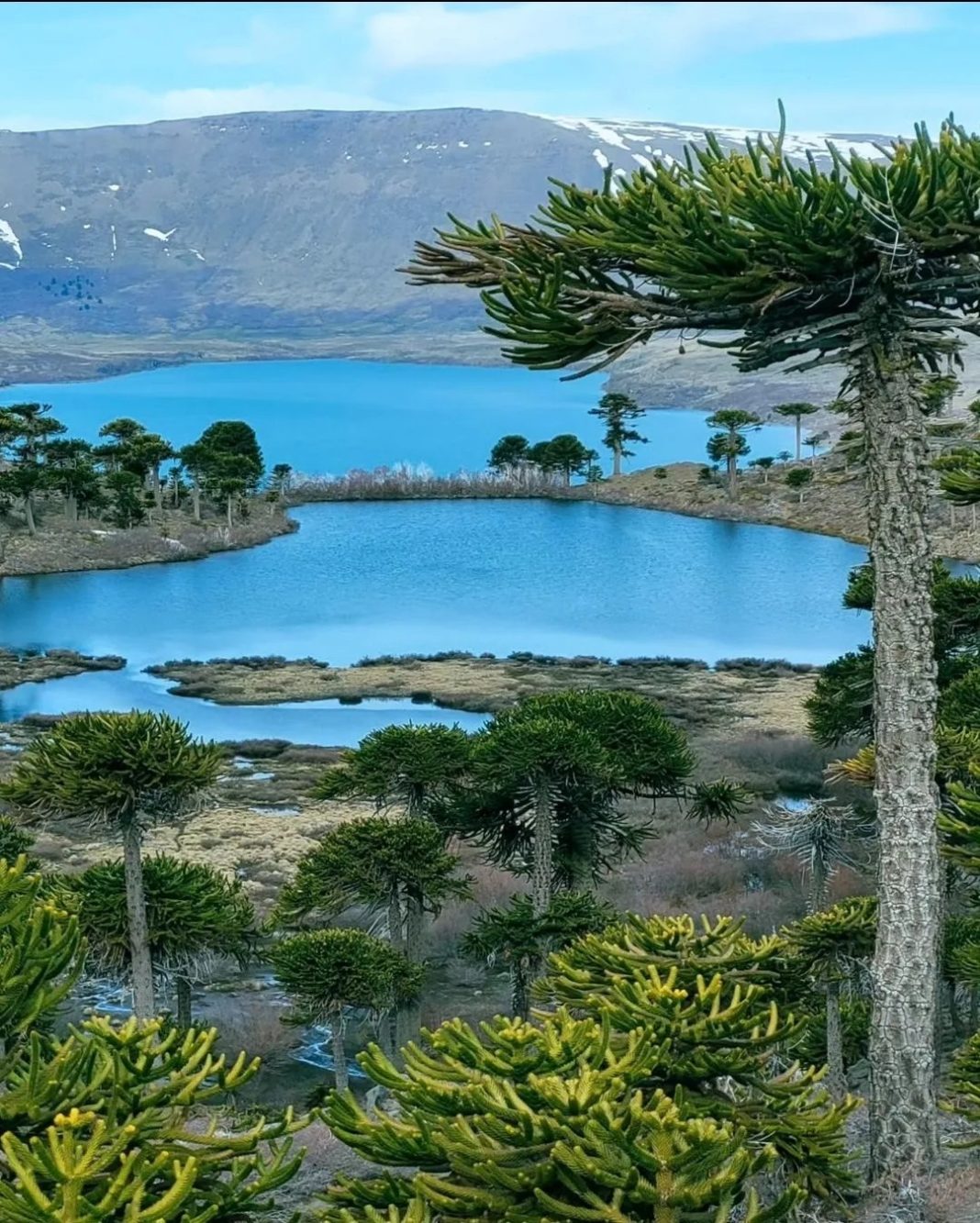 Caviahue-Copahue, el pueblo más lindo del mundo Caviahue-Copahue, el pueblo más lindo del mundo