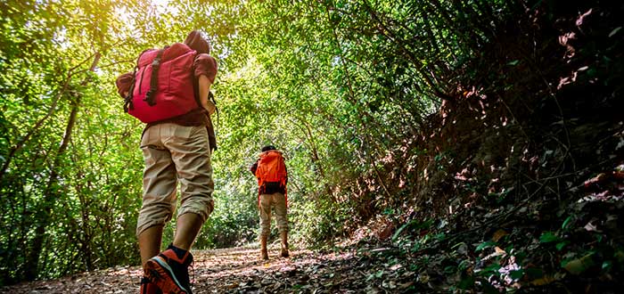IMPS TURISMO obtiene habilitación provisoria como agente de viajes sin fines de lucro IMPS TURISMO obtiene habilitación provisoria como agente de viajes sin fines de lucro