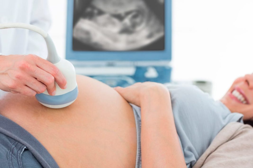 Cambios en el trámite de asignación por embarazo: ¿Estás afectada? Cambios en el trámite de asignación por embarazo: ¿Estás afectada?