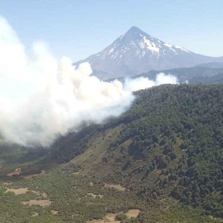 Incendio en zona centro del Parque Nacional Lanín Incendio en zona centro del Parque Nacional Lanín