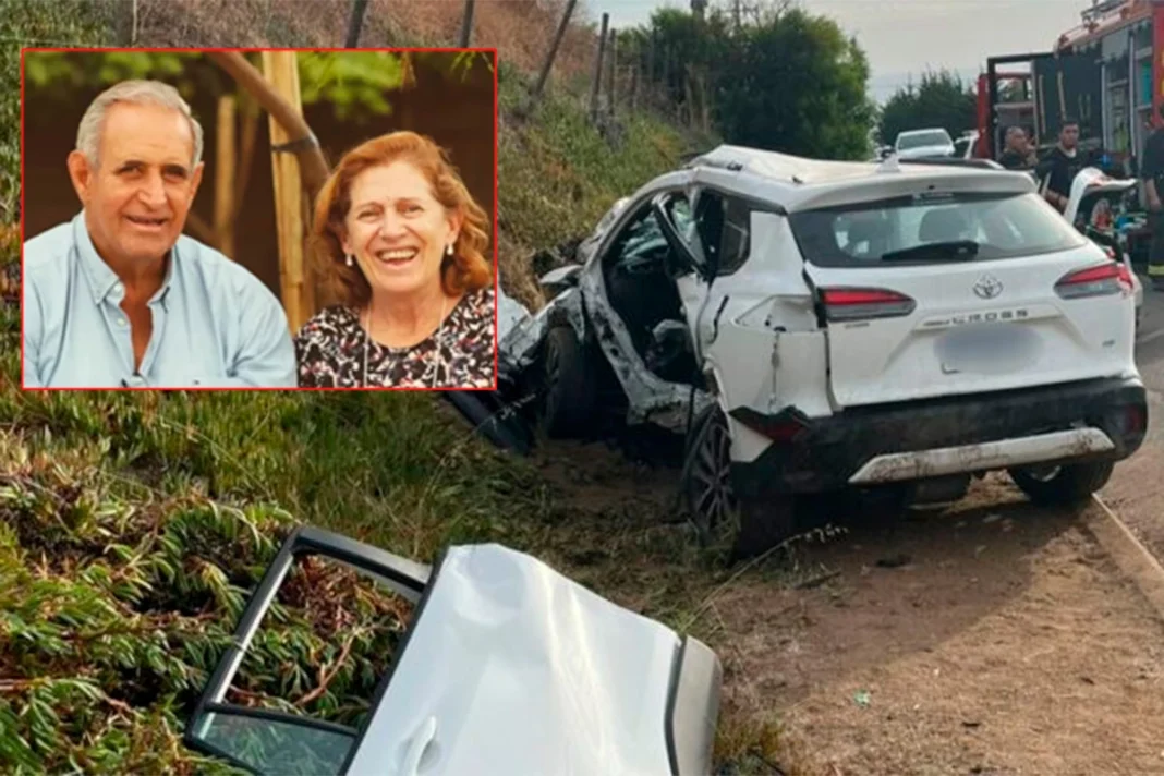 Tragedia en Chile: Muere exjugador de Los Pumas en accidente de tránsito Tragedia en Chile: Muere exjugador de Los Pumas en accidente de tránsito