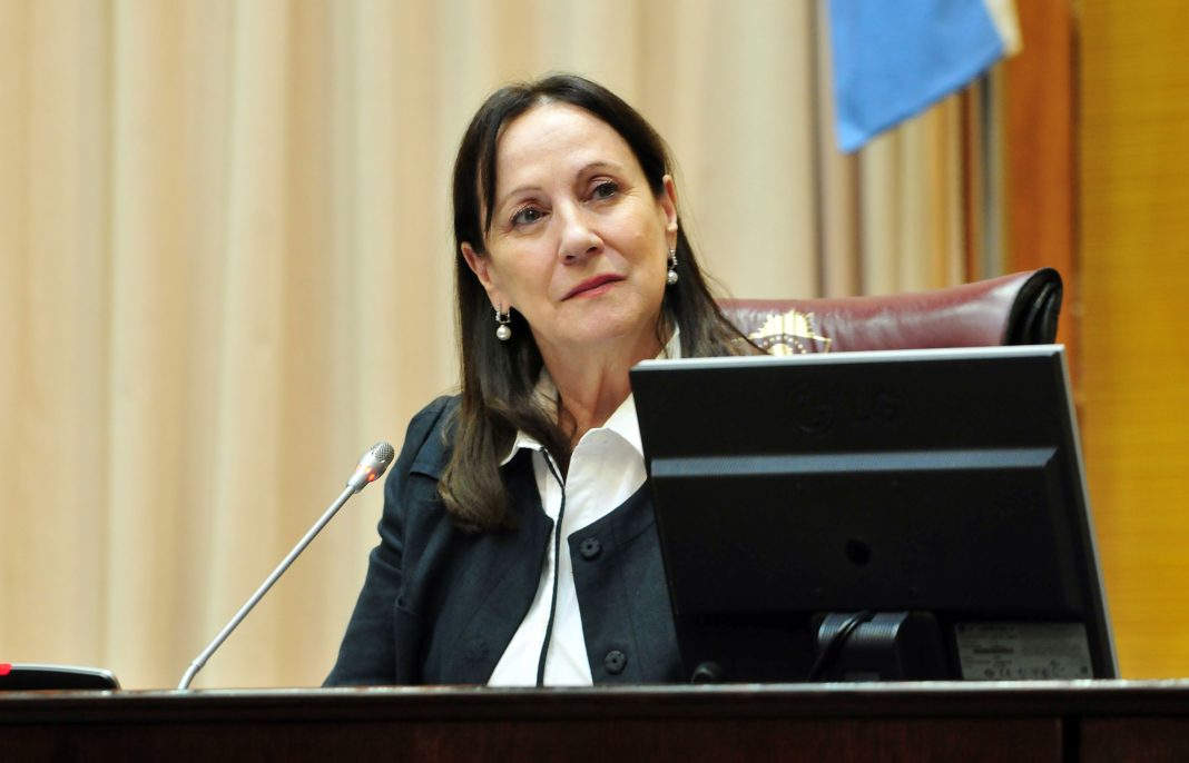 Zulma Reina convocó a los 35 diputados para definir la agenda del 2025 Zulma Reina convocó a los 35 diputados para definir la agenda del 2025