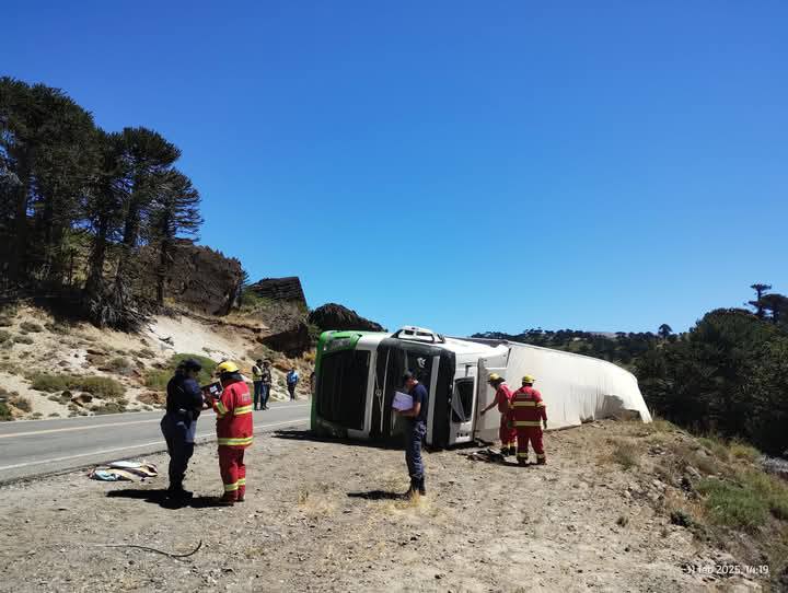 Camión brasileño que transportaba salmón volcó en cercanías a Pino Hachado Camión brasileño que transportaba salmón volcó en cercanías a Pino Hachado