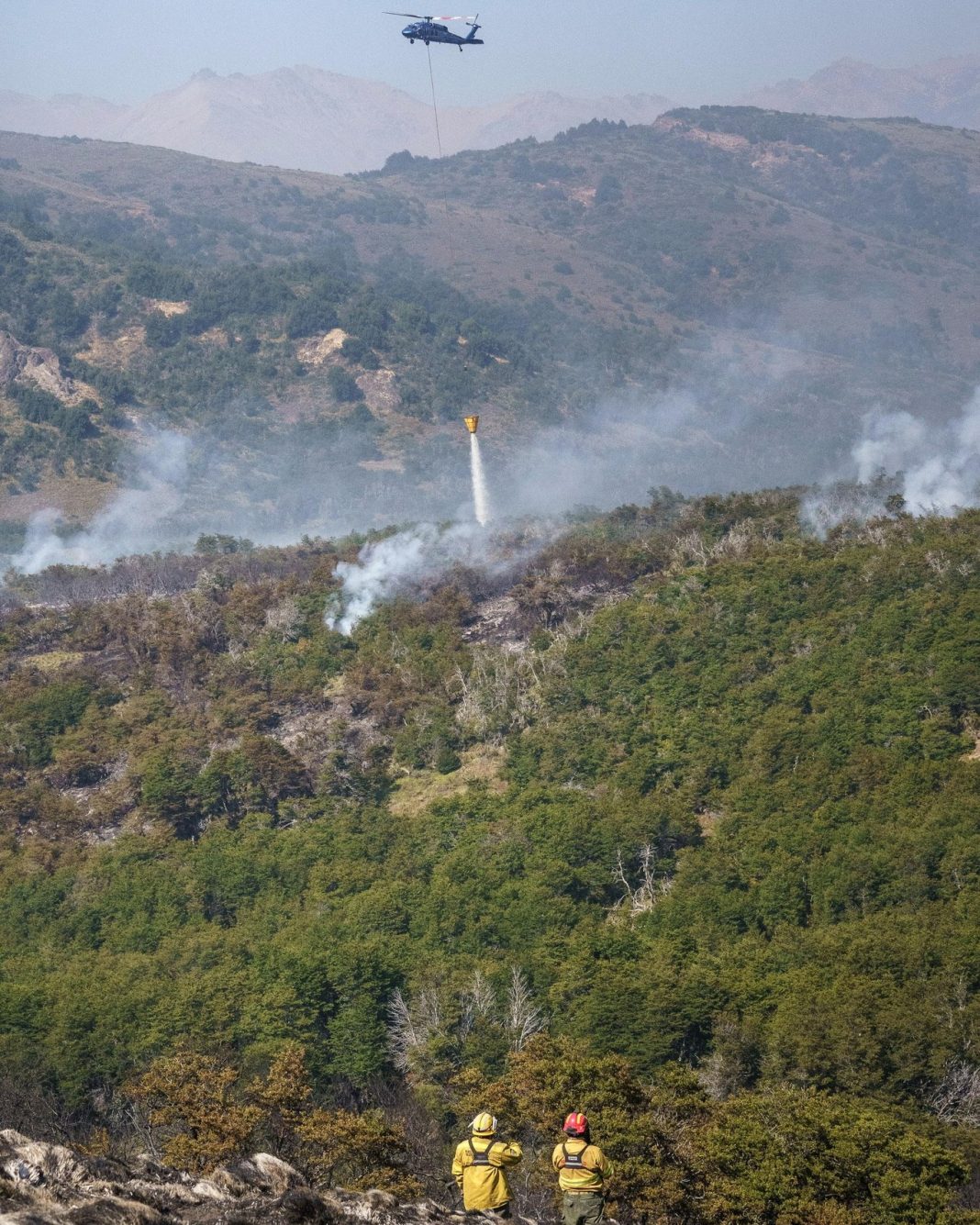 Informe: Parque Nacional Lanín – Incendio Valle Magdalena Informe: Parque Nacional Lanín – Incendio Valle Magdalena