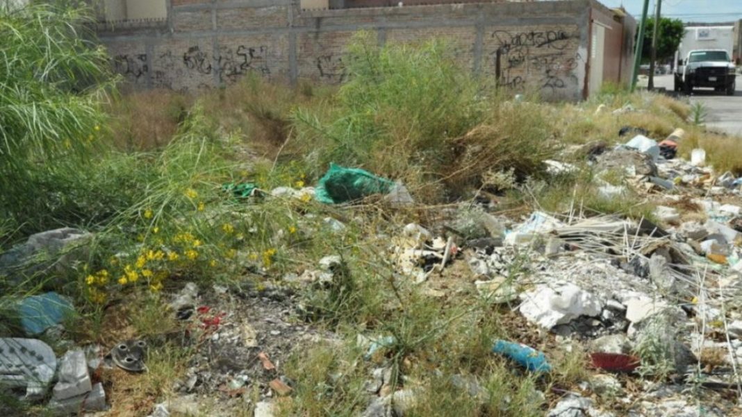 La Municipalidad multará a propietarios de terrenos baldíos en mal estado La Municipalidad multará a propietarios de terrenos baldíos en mal estado