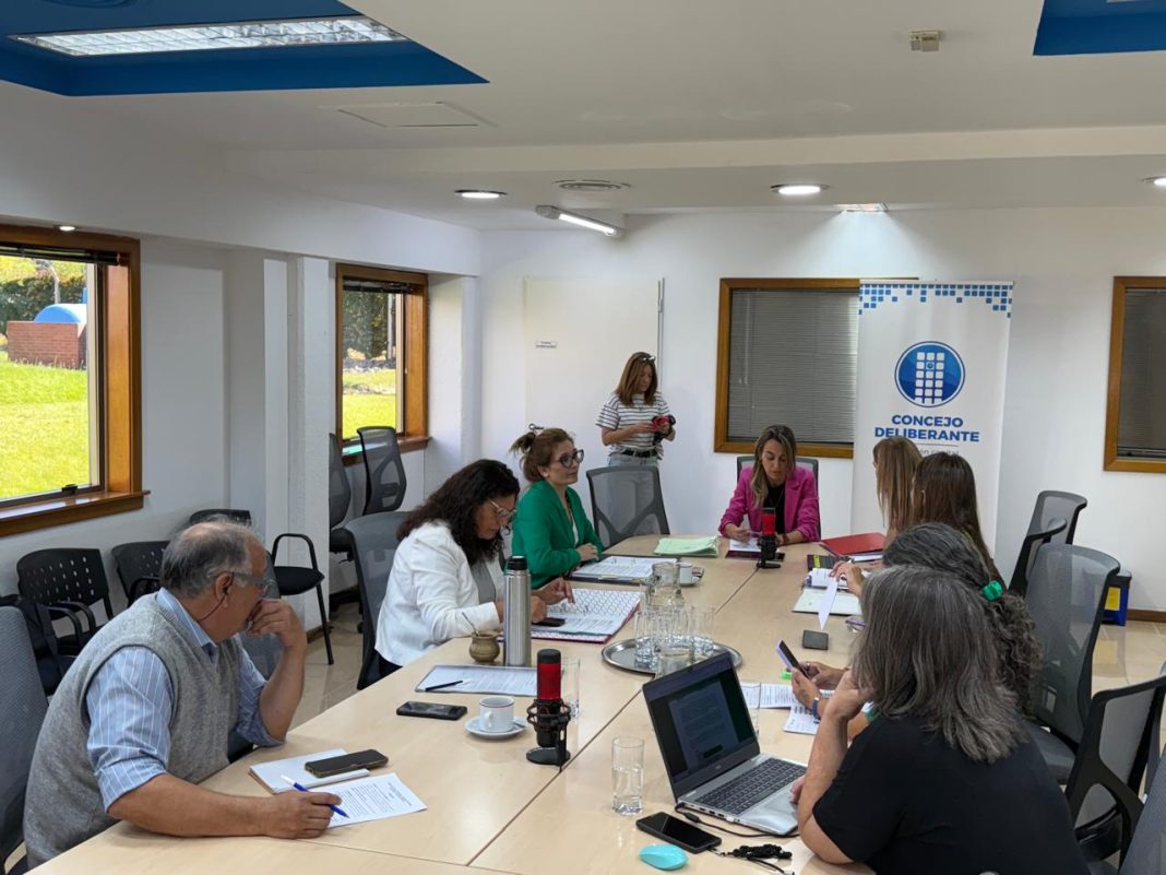 Análisis en comisión sobre la implementación de transporte privado a través de apps en Neuquén Análisis en comisión sobre la implementación de transporte privado a través de apps en Neuquén