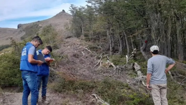 Disponen la suspensión del desmonte y la retirada de bienes en el Cerro Chapelco Disponen la suspensión del desmonte y la retirada de bienes en el Cerro Chapelco