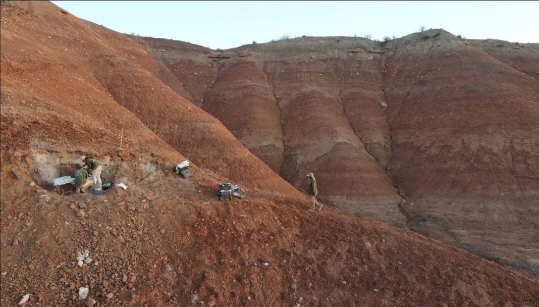Hallazgo paleontológico clave en Añelo: rescatan 11 huevos de dinosaurio Hallazgo paleontológico clave en Añelo: rescatan 11 huevos de dinosaurio