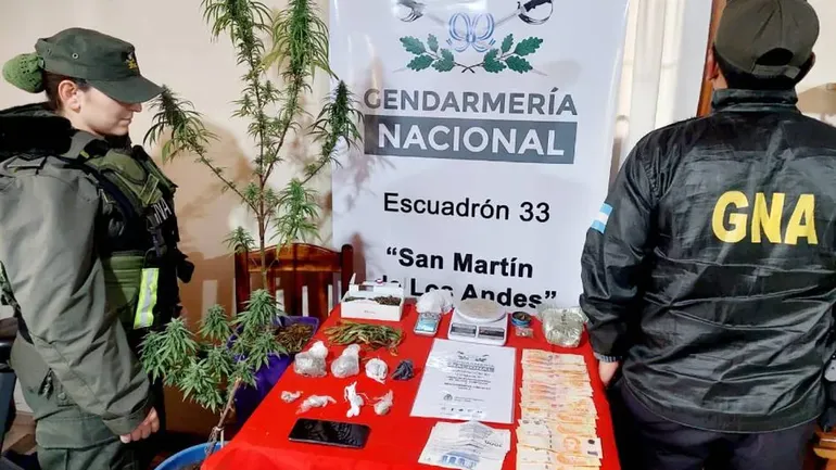Droga por encomienda: desbaratan red con operativos en tres provincias Droga por encomienda: desbaratan red con operativos en tres provincias