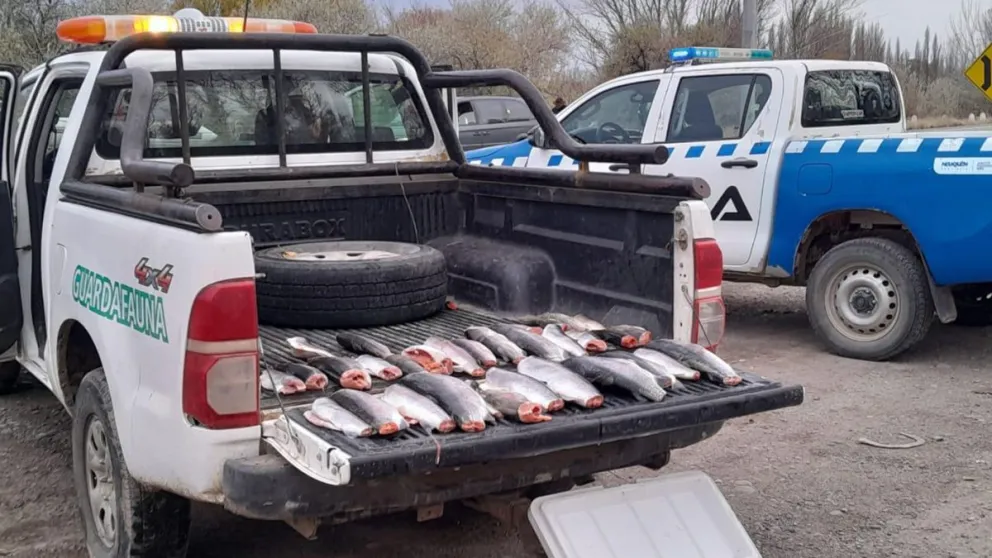 Refuerzan la vigilancia ante prácticas ilegales de caza y pesca en Semana Santa Refuerzan la vigilancia ante prácticas ilegales de caza y pesca en Semana Santa