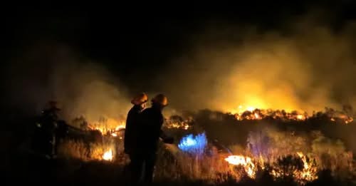 Incendio de pastizales en Ragin-Ko, a pocos kilómetros de Senillosa Incendio de pastizales en Ragin-Ko, a pocos kilómetros de Senillosa