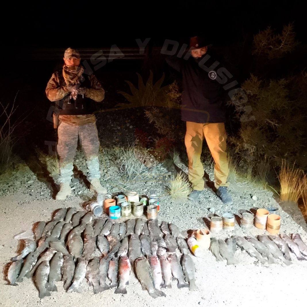 Detectan pesca furtiva en el embalse Alicurá y secuestran 60 truchas Detectan pesca furtiva en el embalse Alicurá y secuestran 60 truchas