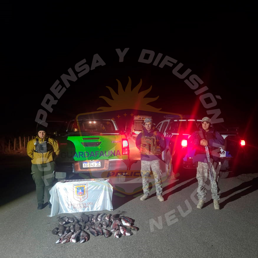 Controles en Junín y zona sur: secuestran truchas y labran infracciones por pesca ilegal Controles en Junín y zona sur: secuestran truchas y labran infracciones por pesca ilegal