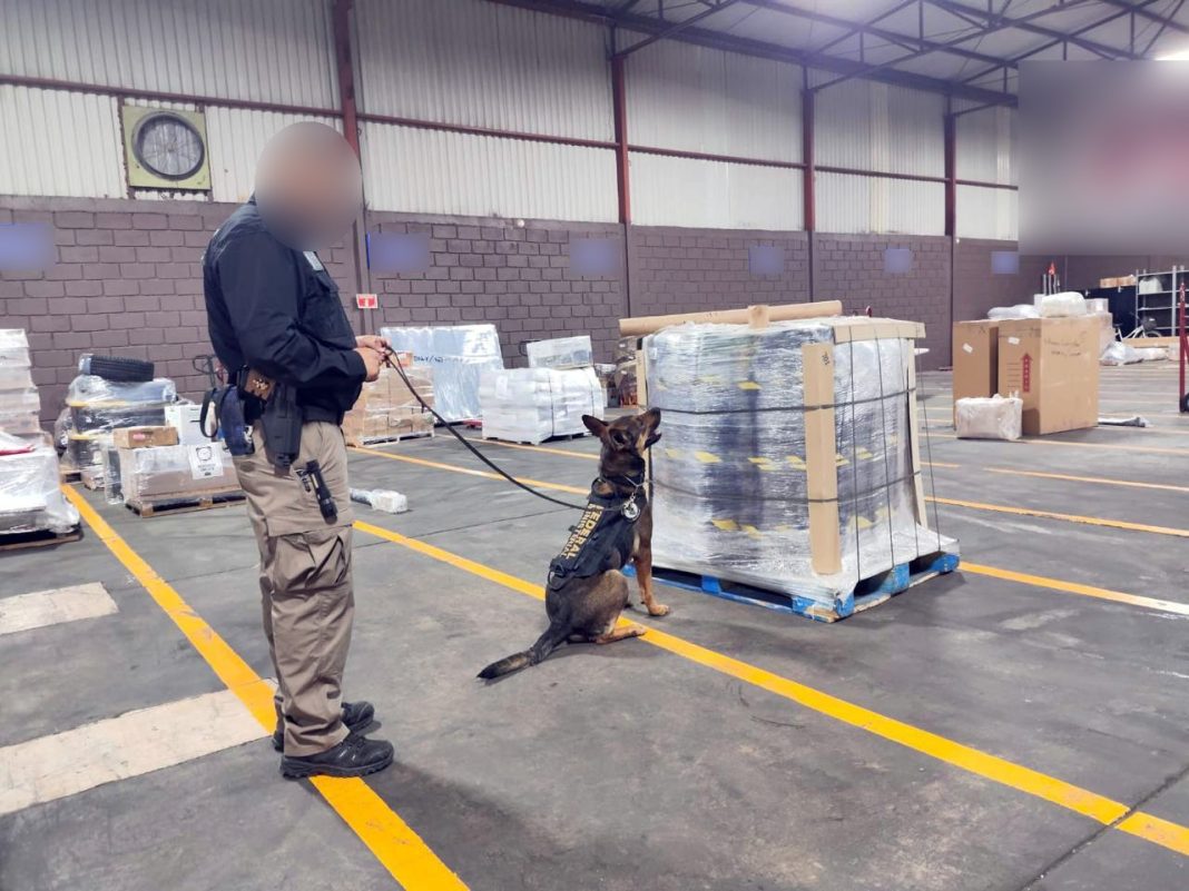 La Policía intensifica controles en rutas y paqueterías contra el narcomenudeo La Policía intensifica controles en rutas y paqueterías contra el narcomenudeo