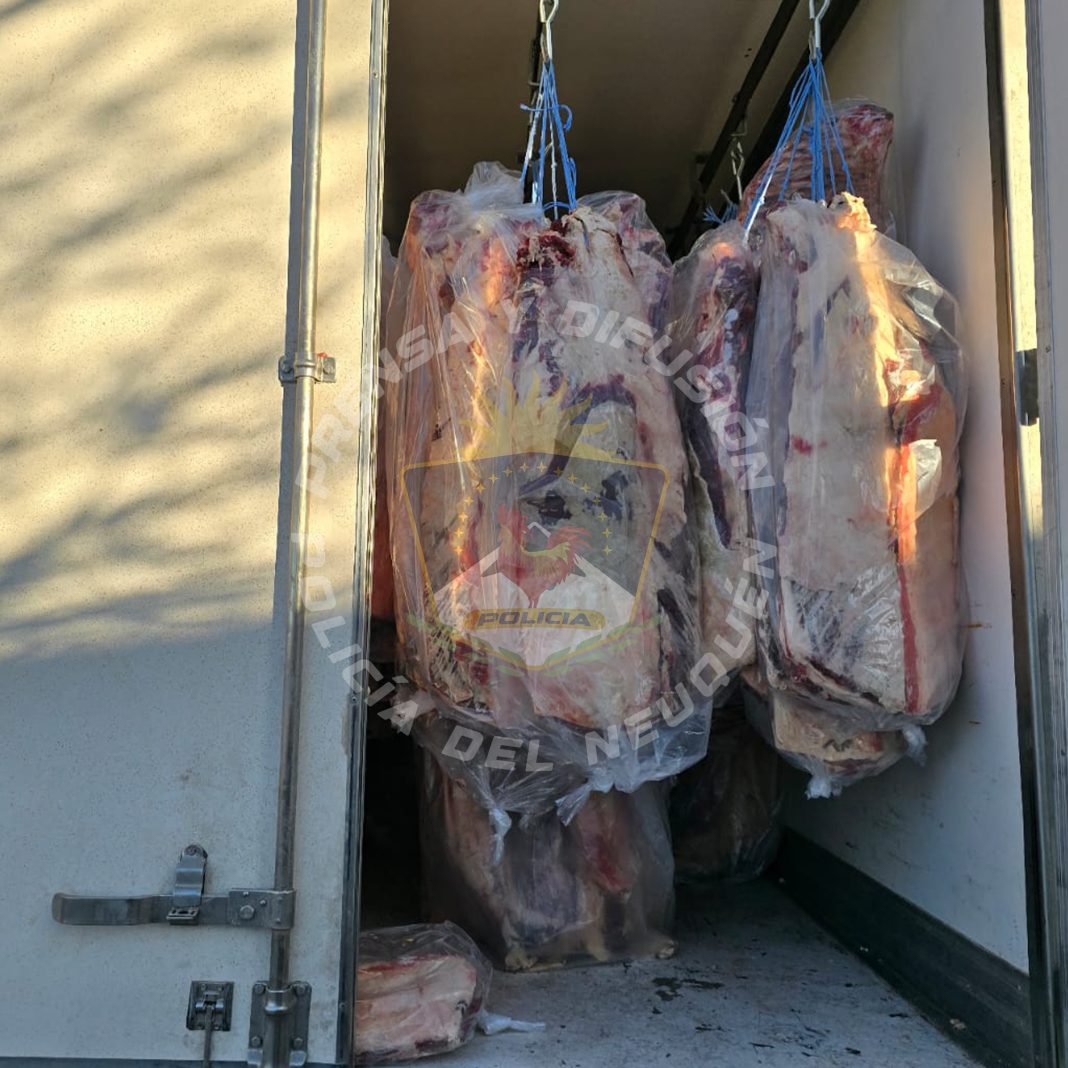 Decomisan casi 5 mil kilos de carne ingresada de forma irregular a Neuquén Decomisan casi 5 mil kilos de carne ingresada de forma irregular a Neuquén