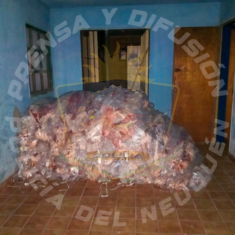 Seguridad alimentaria: retienen carne con hueso en ingreso a Neuquén Seguridad alimentaria: retienen carne con hueso en ingreso a Neuquén