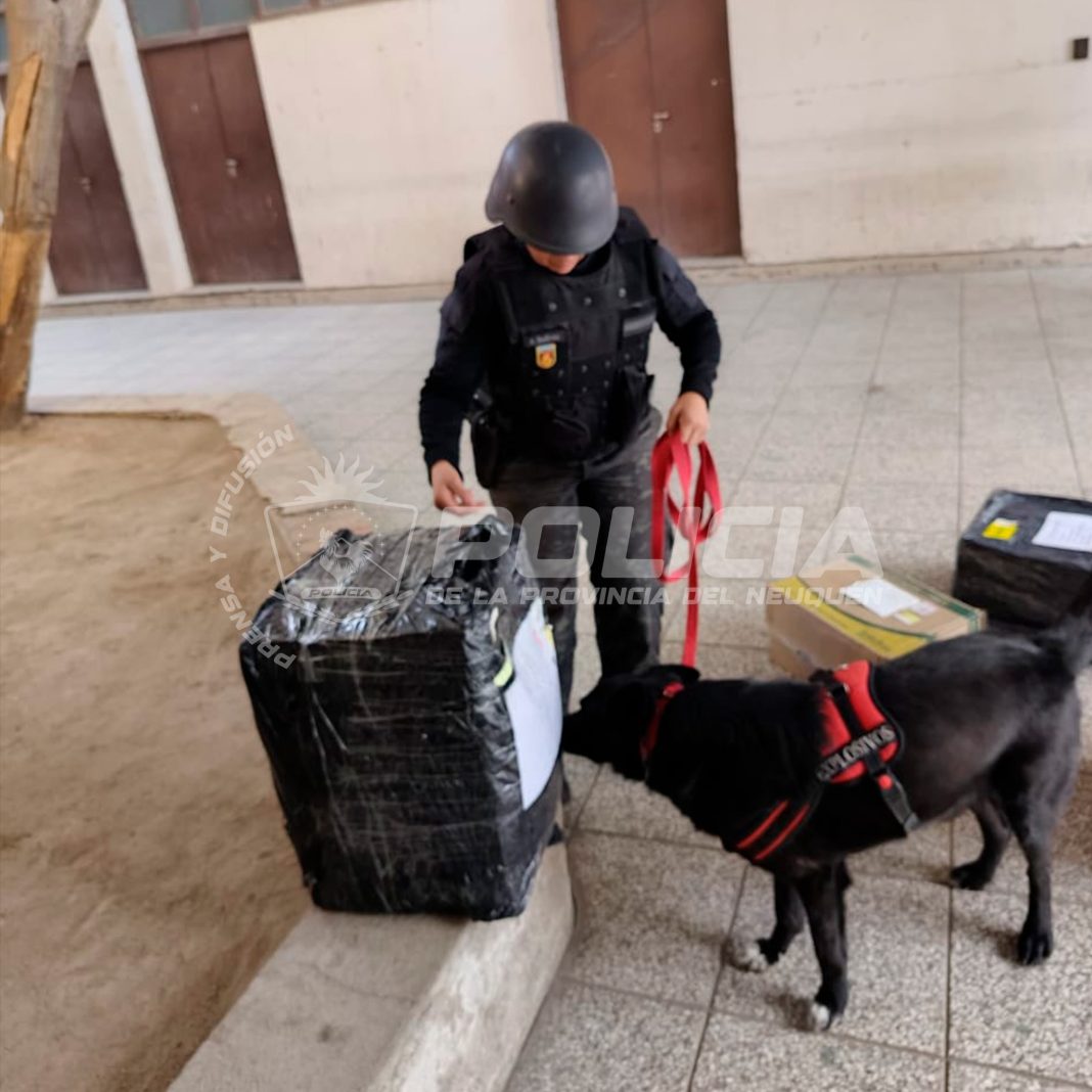 Operativo por amenaza de bomba en el Correo de General Roca Operativo por amenaza de bomba en el Correo de General Roca