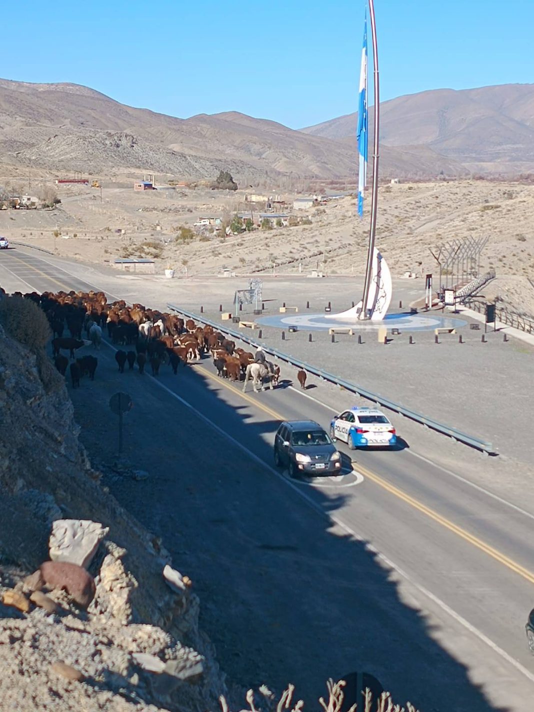 Chos Malal: operativo policial garantizó la baja segura de veranadores Chos Malal: operativo policial garantizó la baja segura de veranadores