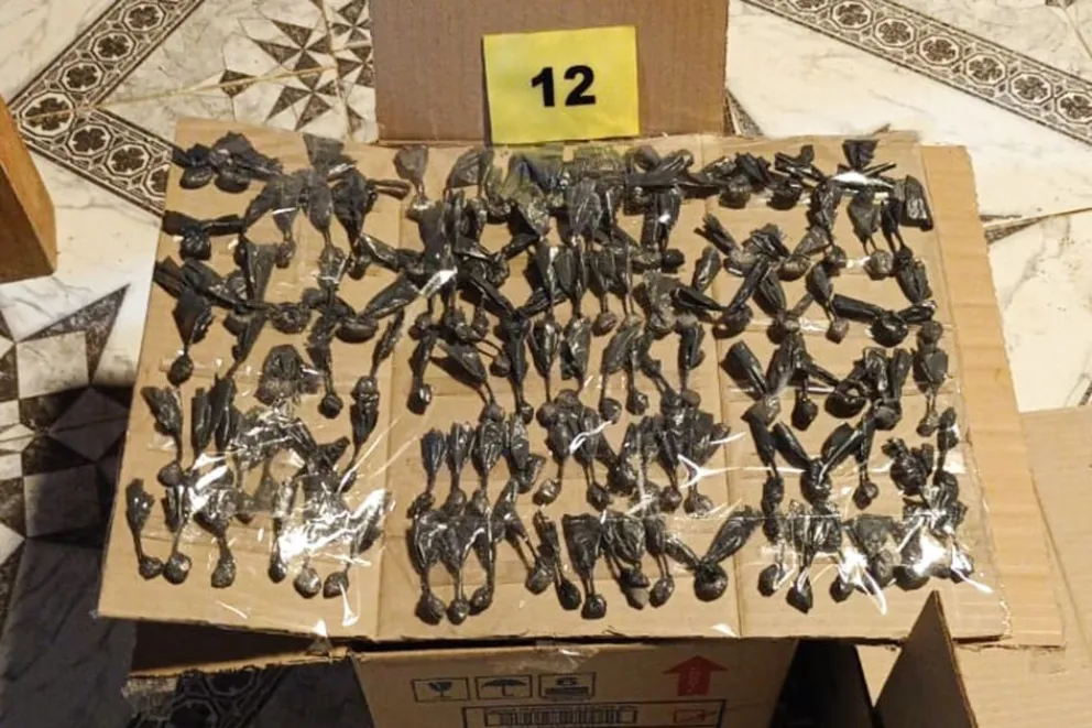 Allanamiento en Cutral Co: cocaína, marihuana y más de un millón de pesos Allanamiento en Cutral Co: cocaína, marihuana y más de un millón de pesos