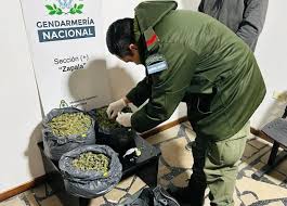 Gendarmería incauta más de 2 kilos de marihuana en la Ruta Nacional 22 Gendarmería incauta más de 2 kilos de marihuana en la Ruta Nacional 22