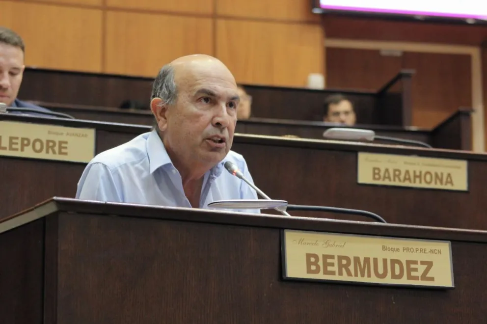 Bermúdez cuestionó el fallo que declaró inconstitucional la Ley de Reiterancia Bermúdez cuestionó el fallo que declaró inconstitucional la Ley de Reiterancia