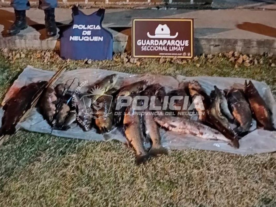 Control policial en la Ruta 40: un detenido con pedido de captura y pesca ilegal Control policial en la Ruta 40: un detenido con pedido de captura y pesca ilegal