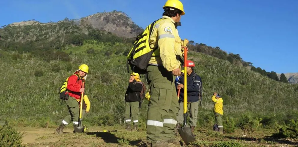 Villa La Angostura refuerza medidas contra incendios forestales Villa La Angostura refuerza medidas contra incendios forestales