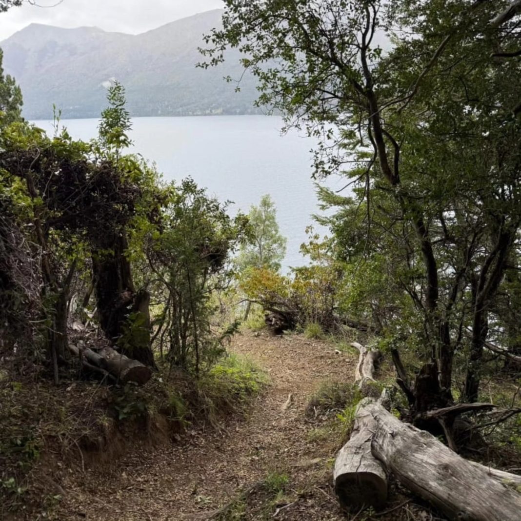 Preparan los senderos del Parque Nahuel Huapi para la Patagonia Bariloche by UTMB Preparan los senderos del Parque Nahuel Huapi para la Patagonia Bariloche by UTMB