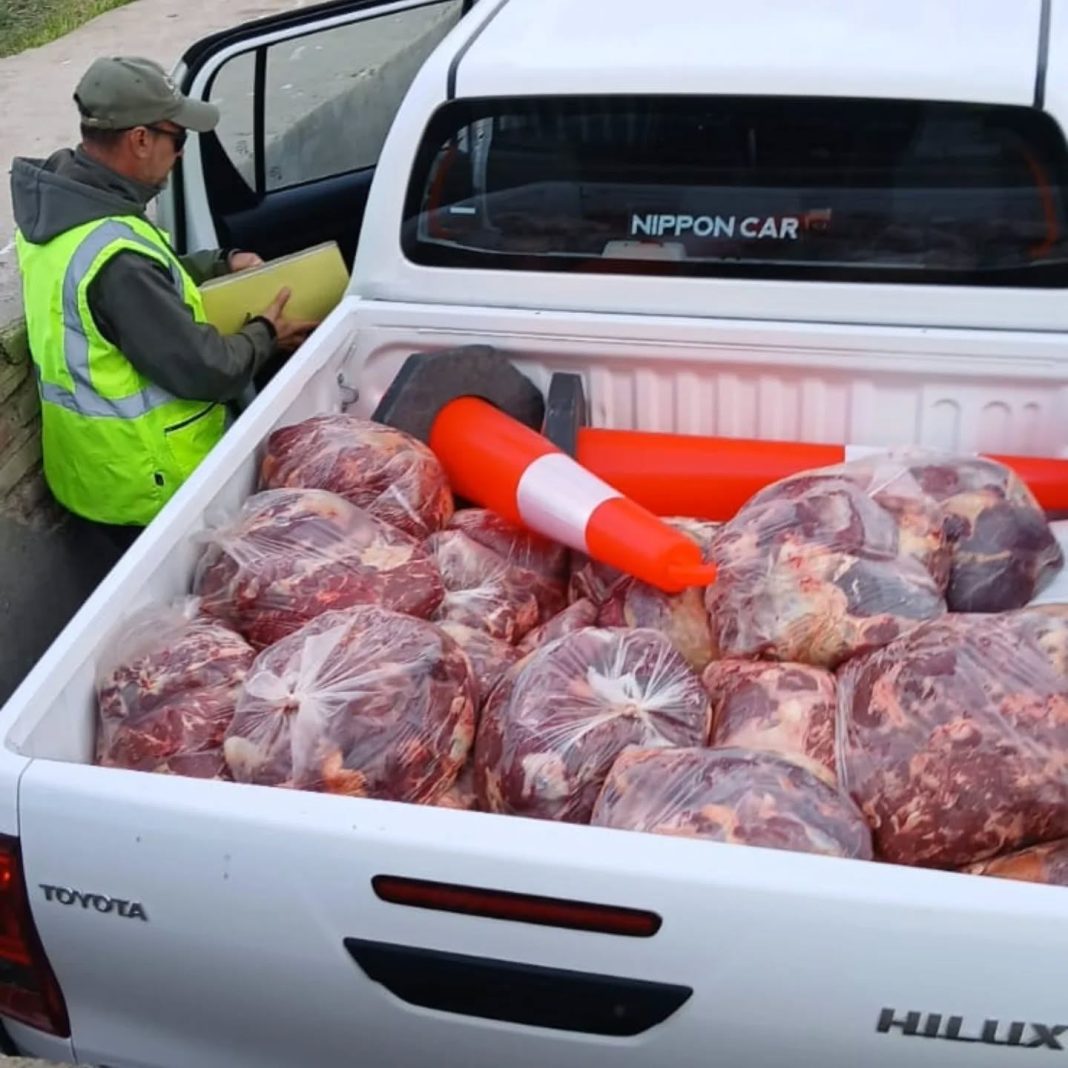 Controles en Zapala: incautan carne y lácteos sin certificación sanitaria Controles en Zapala: incautan carne y lácteos sin certificación sanitaria
