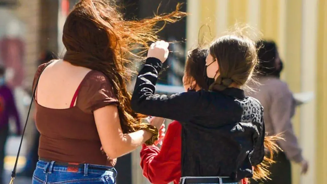 Pronostican ráfagas de hasta 70 km/h en Neuquén Pronostican ráfagas de hasta 70 km/h en Neuquén