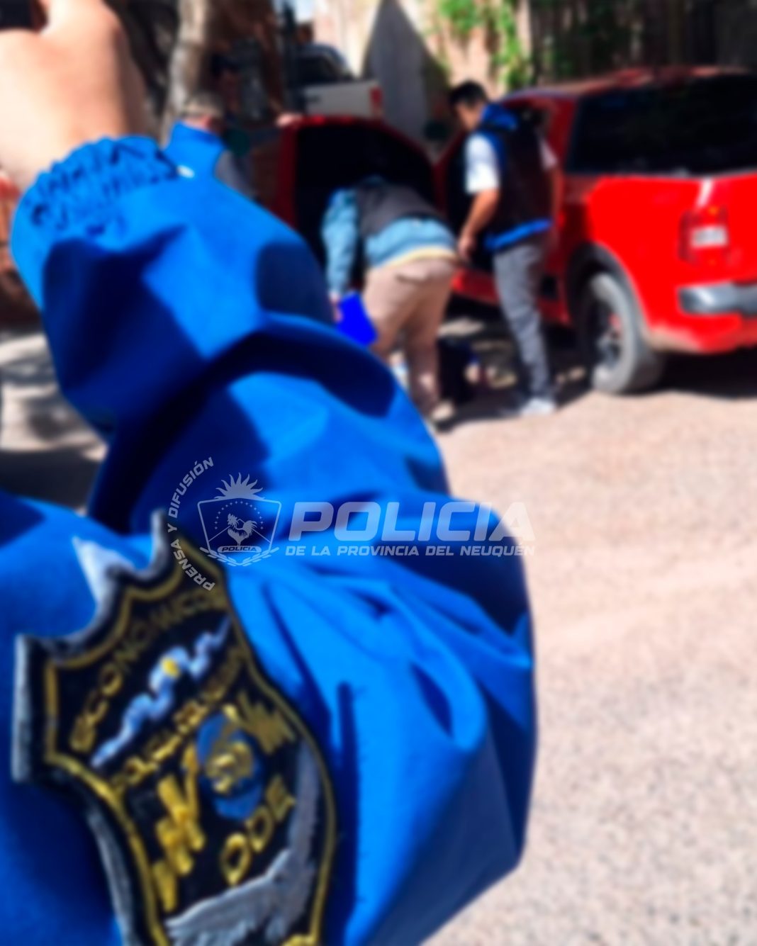 policiales