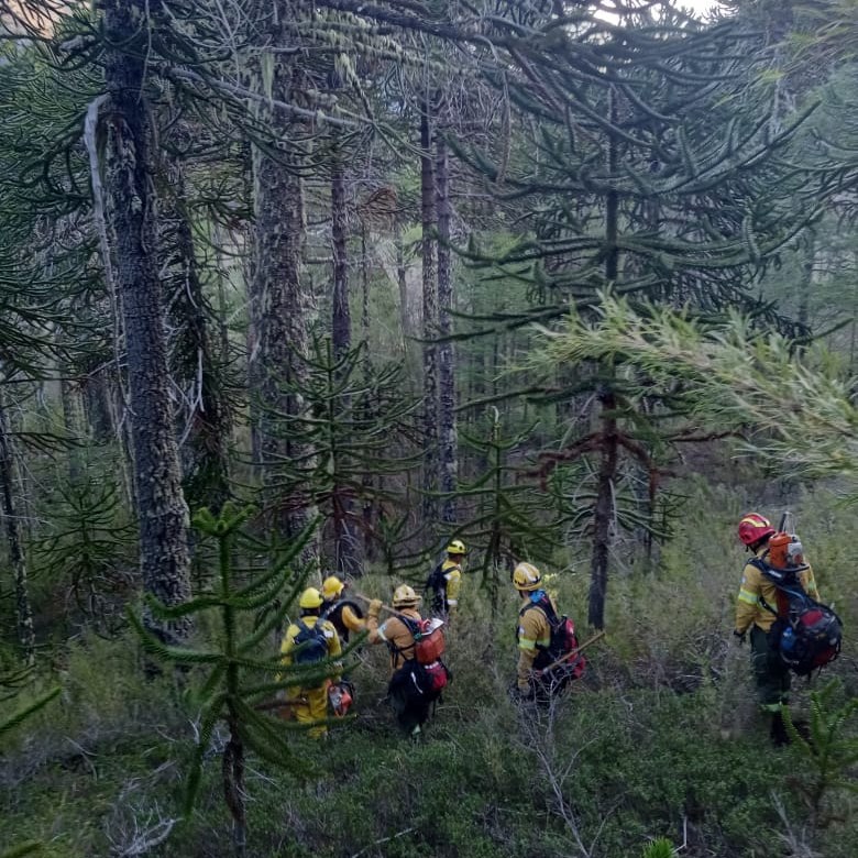 Parques Nacionales incorporó 35 brigadistas para reforzar la prevención de incendios