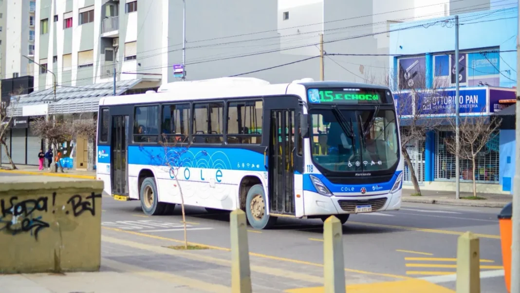Neuquén y Plottier amplían sus líneas de colectivo Neuquén y Plottier amplían sus líneas de colectivo
