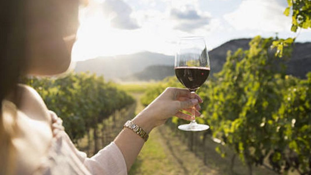 Vinos con Destino: Neuquén llega a Asunción Vinos con Destino: Neuquén llega a Asunción