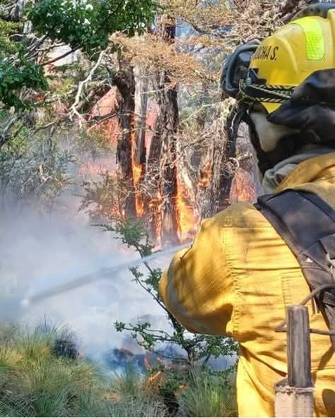 Controlan focos de incendio tras tormentas eléctricas en la cordillera