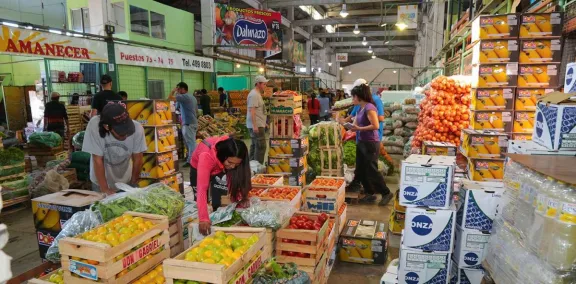 Fin de semana largo: horario habitual en el Mercado Concentrador Fin de semana largo: horario habitual en el Mercado Concentrador