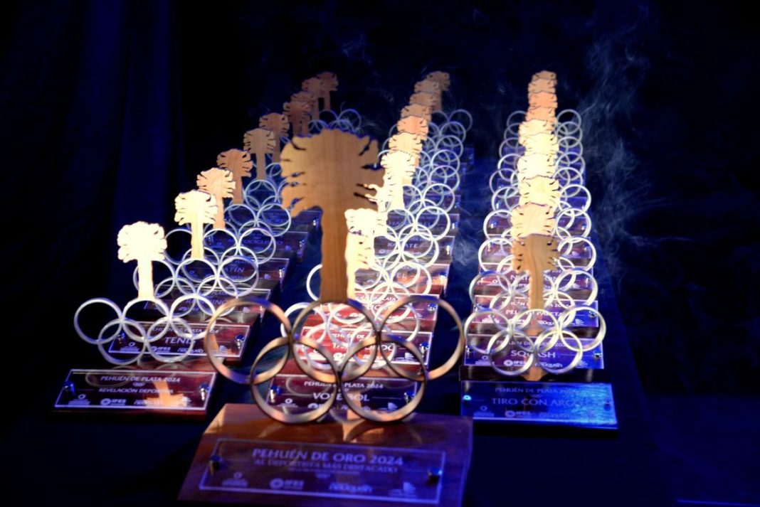 Los Premios Pehuén 2025 ya tienen fecha confirmada Los Premios Pehuén 2025 ya tienen fecha confirmada