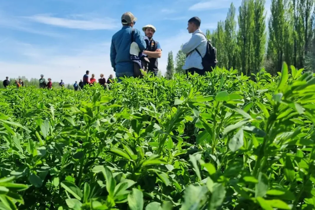 Productores neuquinos accederán a financiamiento con tasas bonificadas Productores neuquinos accederán a financiamiento con tasas bonificadas
