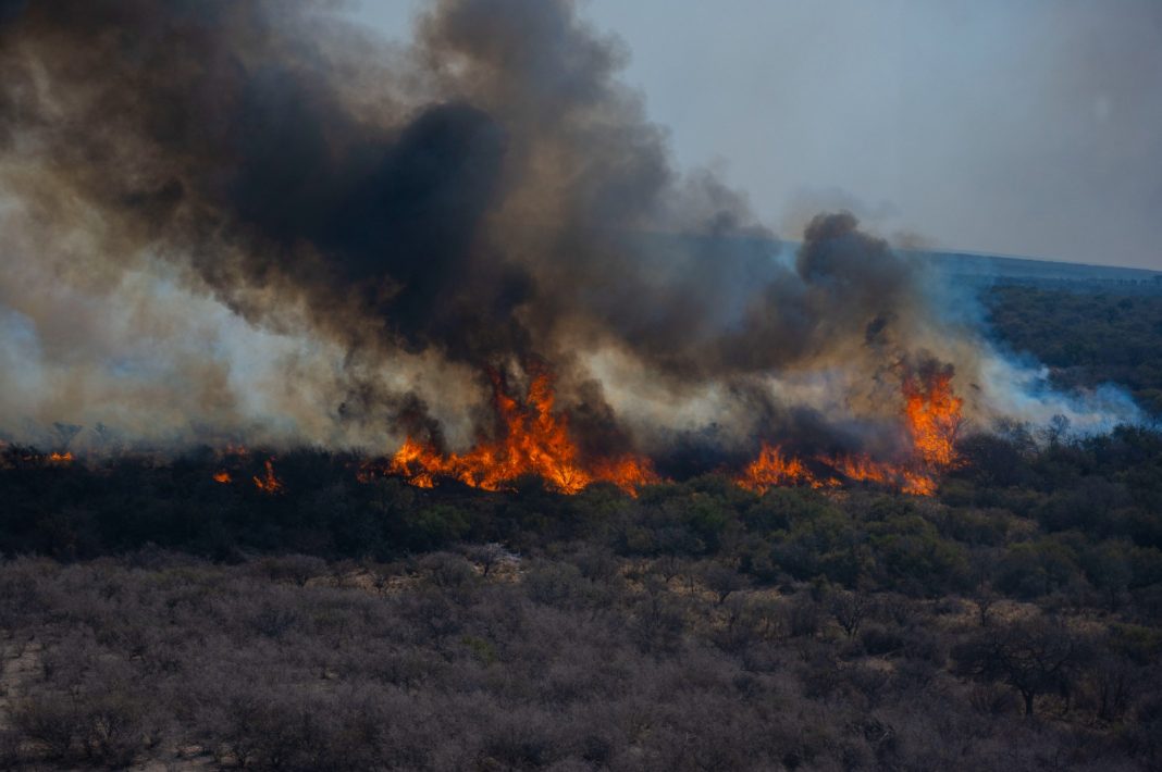Actualizan las multas por quemas en el marco de la Emergencia Ígnea Actualizan las multas por quemas en el marco de la Emergencia Ígnea