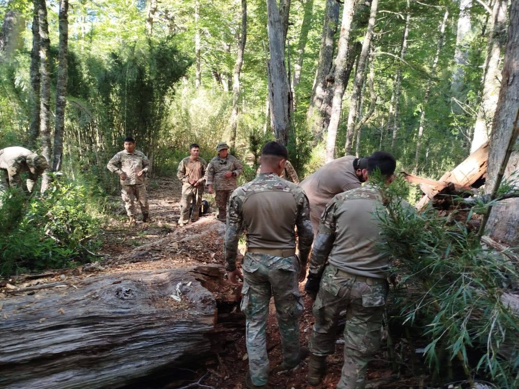 Trabajo conjunto del RIM 26 y Parques Nacionales en el Lanín Trabajo conjunto del RIM 26 y Parques Nacionales en el Lanín